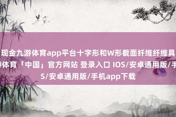 现金九游体育app平台十字形和W形截面纤维纤维具有沟槽-九游体育「中国」官方网站 登录入口 IOS/安卓通用版/手机app下载
