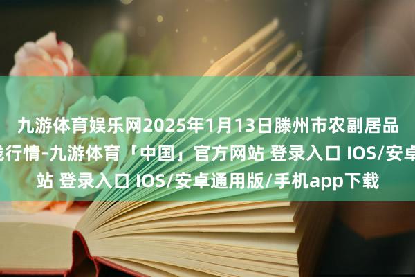 九游体育娱乐网2025年1月13日滕州市农副居品物流中心有限公司价钱行情-九游体育「中国」官方网站 登录入口 IOS/安卓通用版/手机app下载