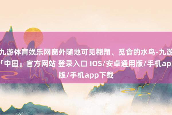 九游体育娱乐网窗外随地可见翱翔、觅食的水鸟-九游体育「中国」官方网站 登录入口 IOS/安卓通用版/手机app下载