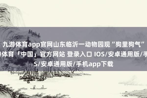 九游体育app官网山东临沂一动物园现“狗里狗气”假熊猫-九游体育「中国」官方网站 登录入口 IOS/安卓通用版/手机app下载