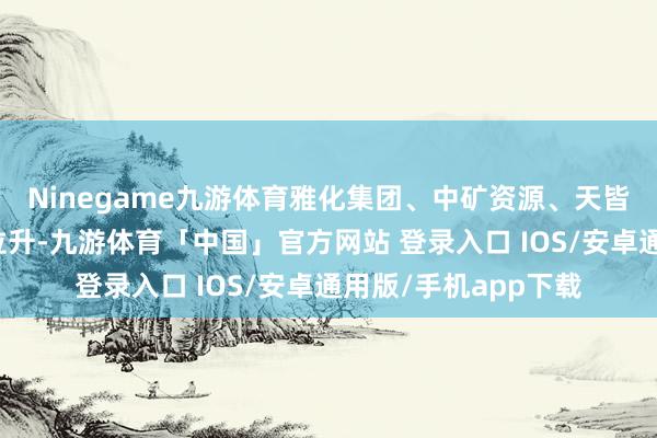 Ninegame九游体育雅化集团、中矿资源、天皆锂业等股纷繁异动拉升-九游体育「中国」官方网站 登录入口 IOS/安卓通用版/手机app下载